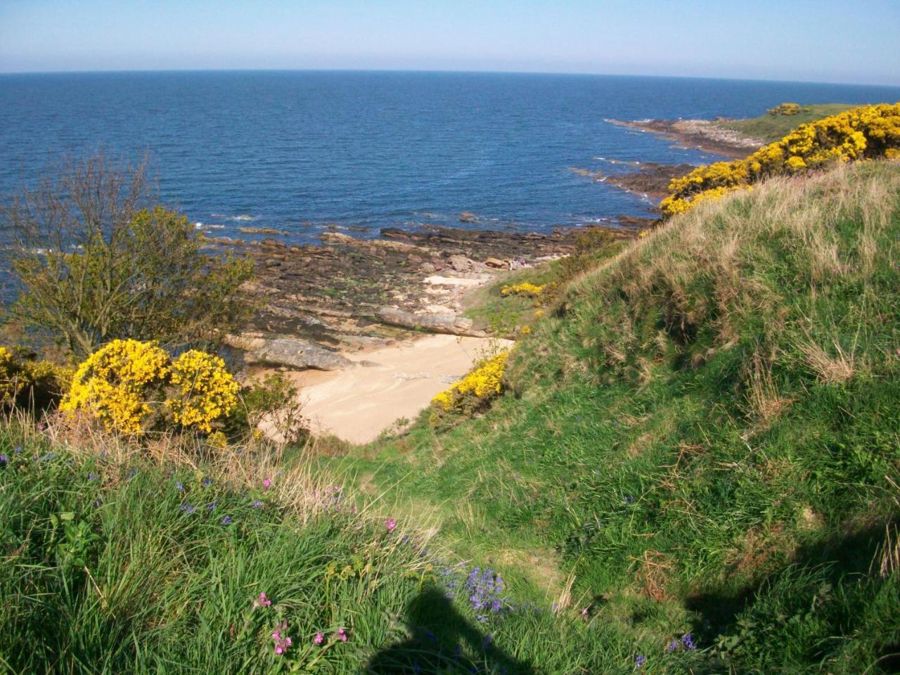 Carnegie Holiday Cottage ดันเฟิร์มลิน ภายนอก รูปภาพ
